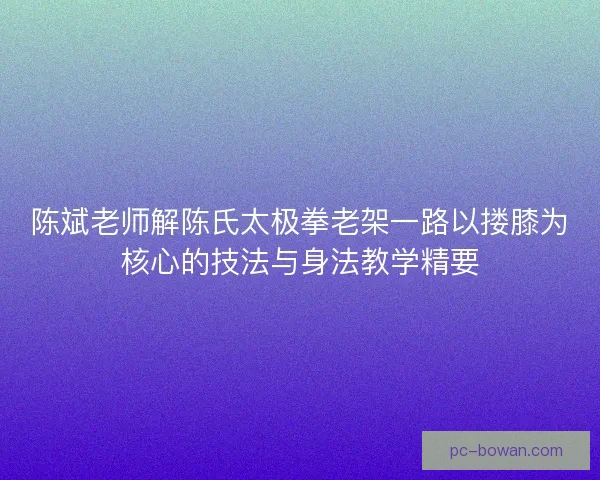 陈斌老师解陈氏太极拳老架一路以搂膝为核心的技法与身法教学精要